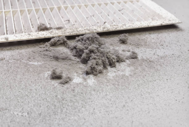 Best Air Duct Sanitizing Services  in Etowah, NC