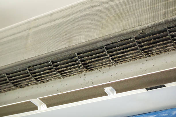 Best Ventilation Cleaning Services  in Etowah, NC